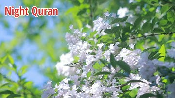 صوت هادئ ومريح للاعصاب|| الشيخ سلمان العتيبي|| سورة الواقعة