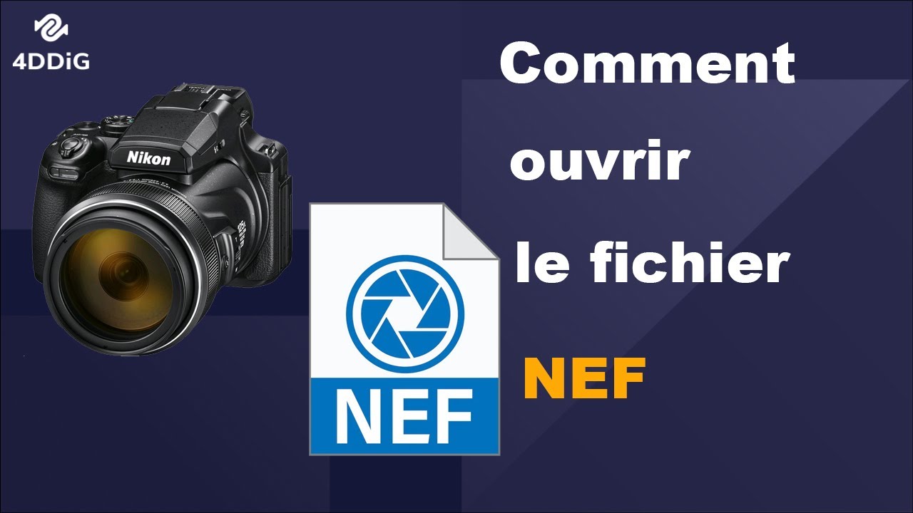 Guide complet sur le fichier NEF : Comment ouvrir et éditer les ...