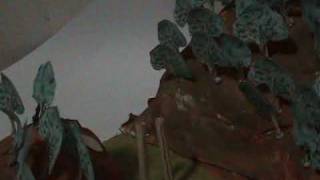 Syonan jinja...