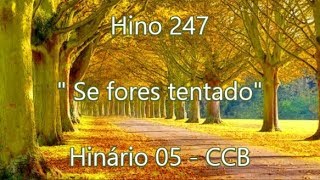 Hino 247  -  Se fores tentado - H5  CCB chords