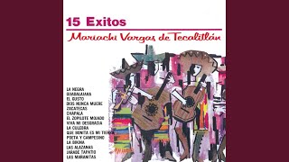 Video voorbeeld van "Mariachi Vargas de Tecalitlán - Las Mañanitas"