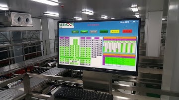 Reemoon Dried dates sorting tech