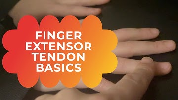 Finger extensor tendon basics - evaluate an extensor tendon injury