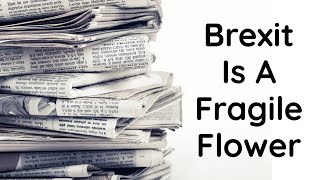 Telegraph FEAR For Fragile Flower Brexit In Labour Govt