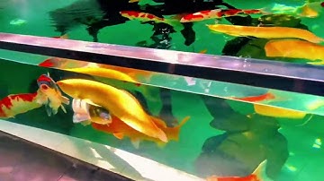 📌Goole Map:  Garden333Cafe - ĂnSáng - ĂnTrưa - BànNhậu - NhậnĐặcTiệc. || 0909.655445