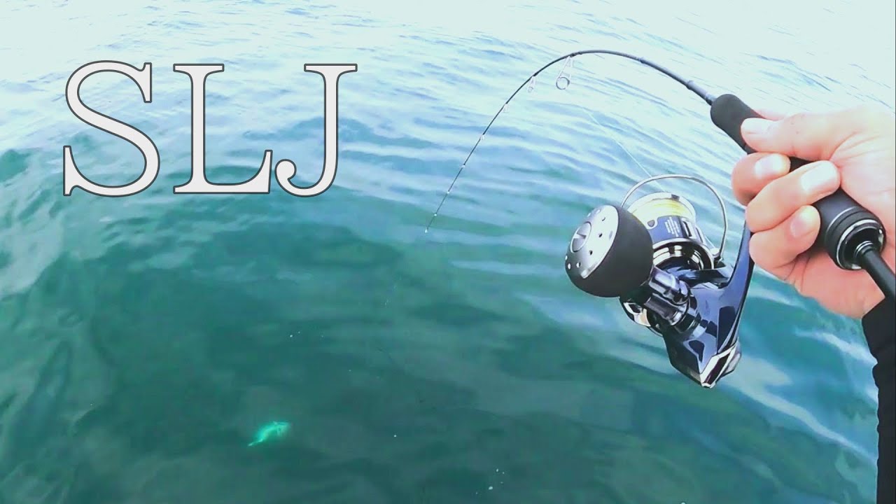 ＳＬＪ一本あれば色んな魚と遊べます