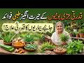 Natural Herbs &amp; Their Benefits|herbal medicine benefits | benefits of herbs in Urdu| herbal