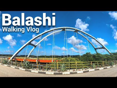 Video: Kaip Patekti į Balašihą