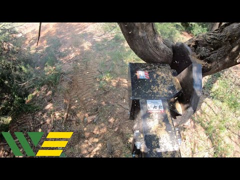 Best Skid Steer Tree Saw?  Vail X Series Review and Raw Demo
