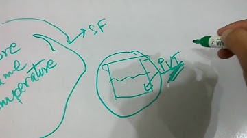 State Functions and State Variables-Thermodynamics