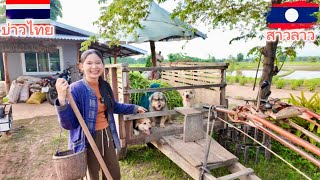 สาวลาว🇱🇦ตั้งแต่มาอยู่ไืทยของอยู่ของกินหลายๆ ขอแค่ขยันหา