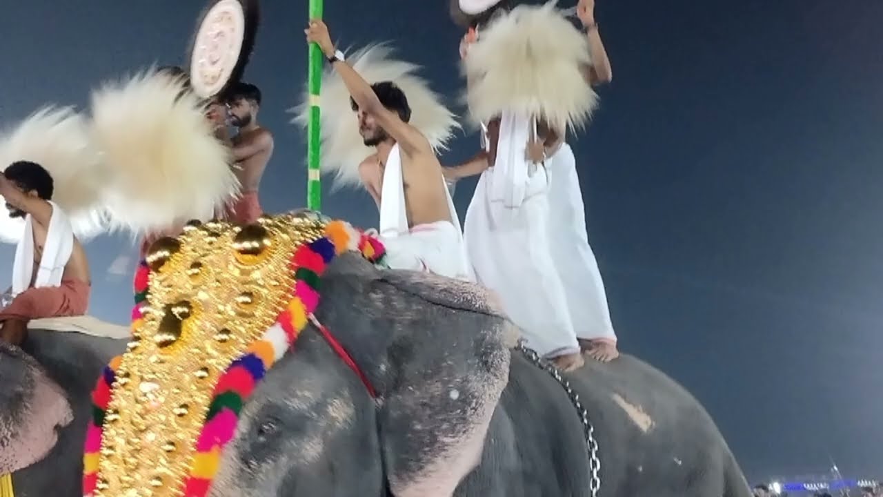Pooram vedikettu 02.2026 Thaikatussery 