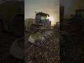 Chopping maize as the sun goes down with the CLAAS Jaguar forage harvester #silage