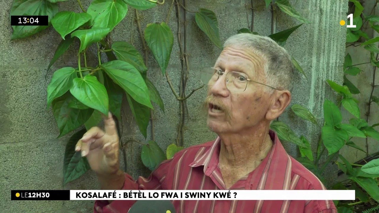 Kosalafé ! Kosa i Sony kwé ? Domann anou Hermina Lasson va domann Raymond Lucas !