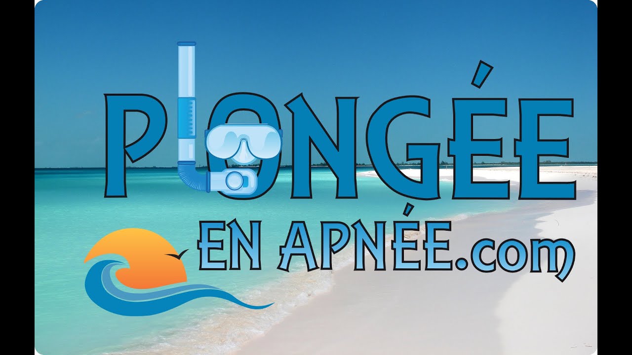 Au Quotidien Www Plongeeenapnee Com Blogue Quebecois Traitant Sur La Plongee En Apnee Dans Les Caraibes Les Antilles Et Les Maldives