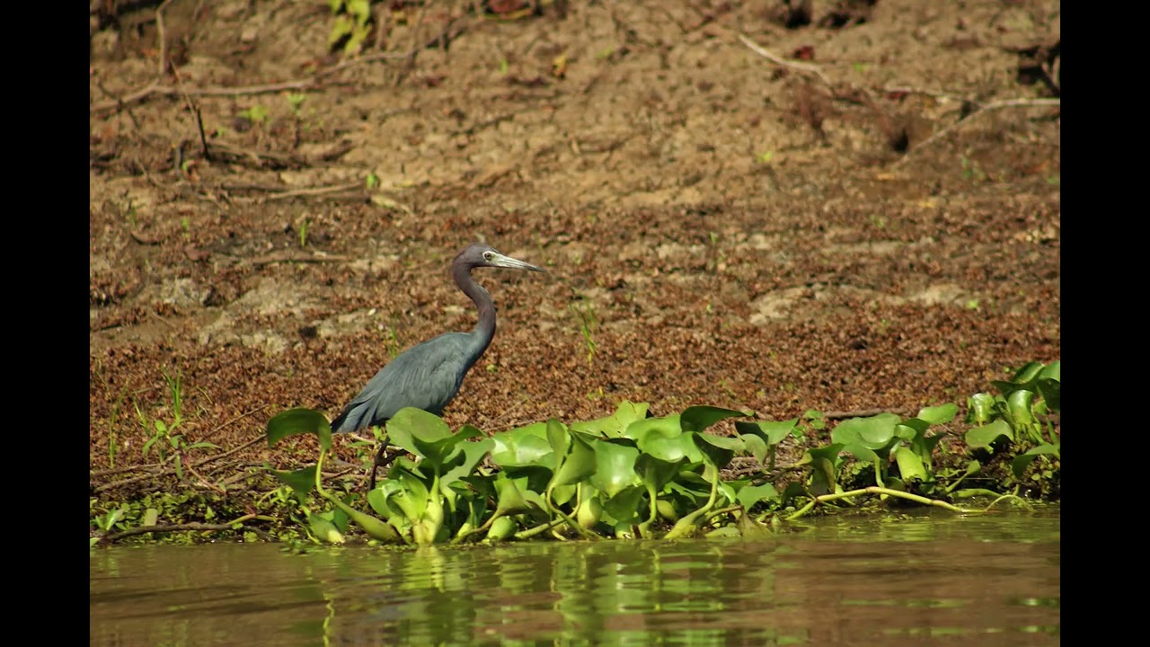 The unique Christmas Gift for the person who enjoys or seeks adventure!!