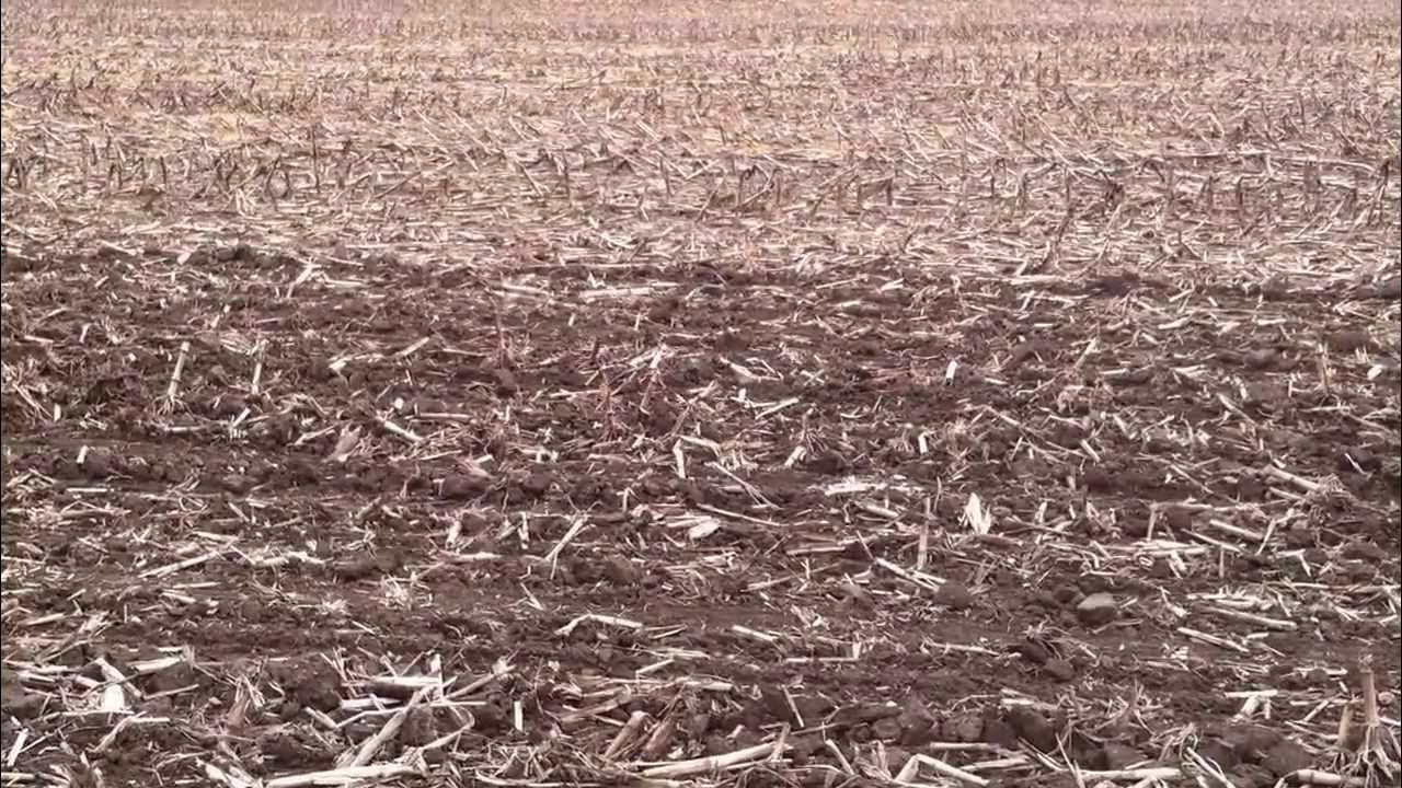 No till vs Vertical tillage vs Conventional tillage YouTube
