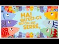 Les sardines  patrick sbastien lyrics  karaok