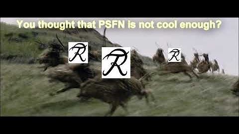 [IR9] & 11.CIB - PSFN#12 Invitation