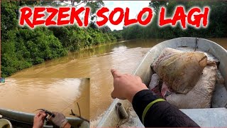 SOLO MEMBURU BAUNG EKOR MERAH 9-1 MATA #kelipasar 