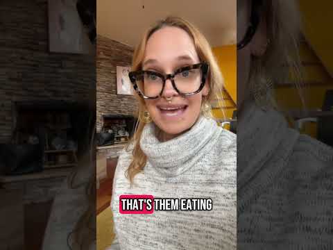 🚫 Stop Petting Your Cats! #cats #cat #catcare