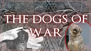 The War Dogs of Alexander the Great: Peritas and the Molossian Giant-Slayers