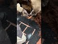 Lightning Protection Grounding. Trench Digging &amp; Rod Installation”
