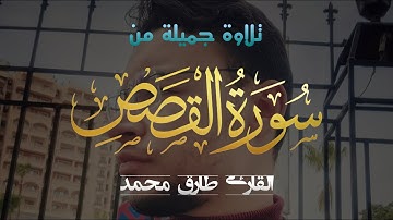 إِنَّ قَٰرُونَ كَانَ مِن قَوۡمِ مُوسَىٰ فَبَغَىٰ عَلَيۡهِمۡۖ | آيات من سورة القصص-القارىْ طارق محمد