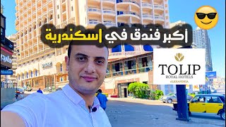 تجربتي في أكبر فندق في اسكندرية توليب |حملة سي فود لكل نزيل😋