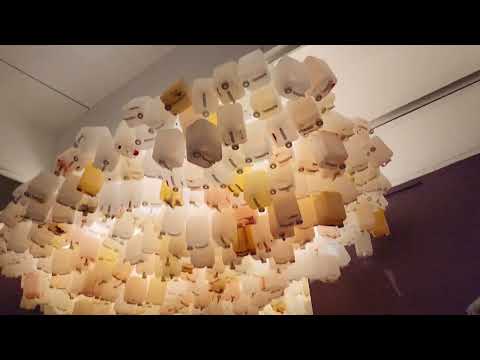 Video: Smithsonian Hirshhorn muzej i vrt skulptura