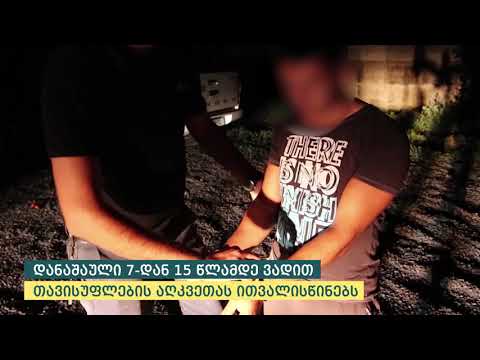 შინაგან საქმეთა სამინისტრომ ქვემო ქართლში მომხდარი კიდევ ერთი გახმაურებული მკვლელობა გახსნა