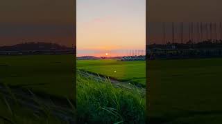 Download Lagu When my Spirit is weak- Jelly Roll #lifeisajourney #faith #gospelmusic  MP3