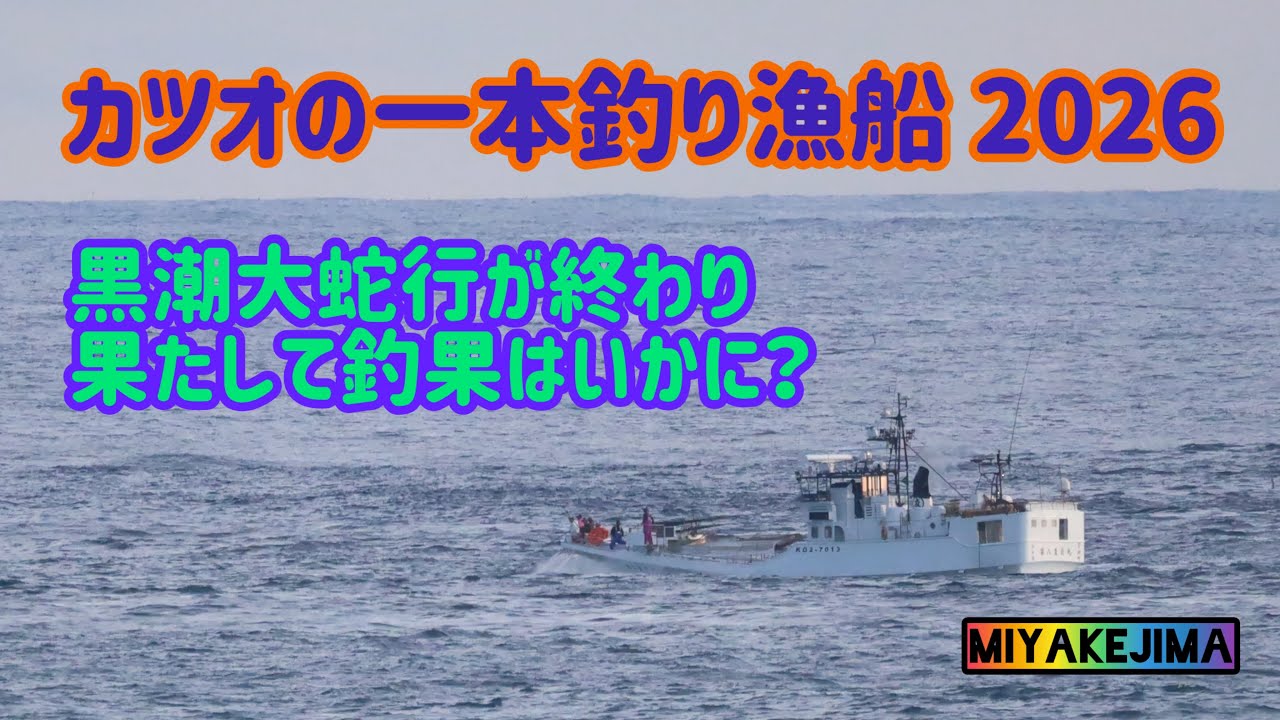 すべての動画