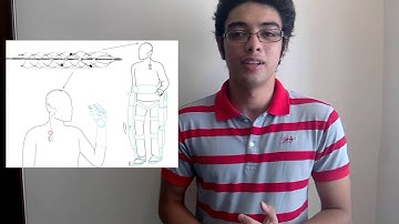 Bionic Spine Video Project