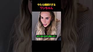 やたら繊細すぎるワンちゃん