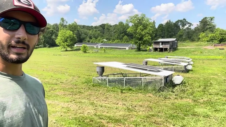 Pasture Raised Poultry using NEW AUTOMATED Chicken Tractors!