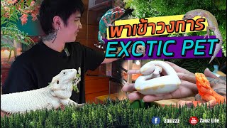 Zauz Ep.170 พาเข้าวงการสัตว์แปลก Exotic !!