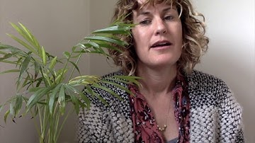 Library Orientation Section 7