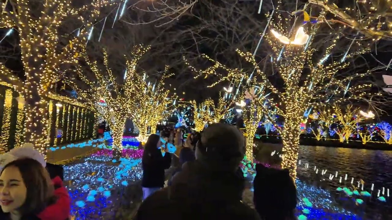 송해공원 크리스마스 트리 