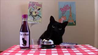 Cat rings bell for treats