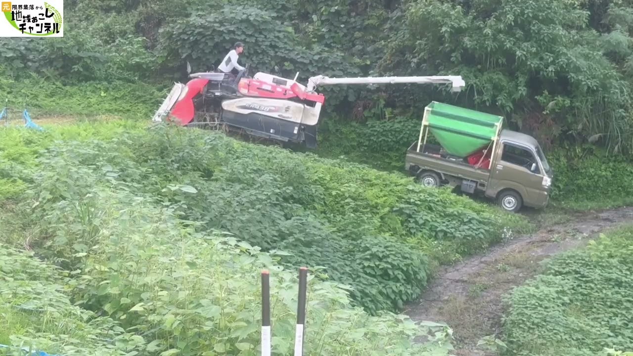 法人の稲刈りが完了しました【2025年10月2日】棚田の稲刈り日記