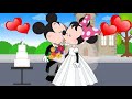 Disney theme wedding highlights  same day edit 2019