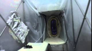 Entering the Vacuum Vessel