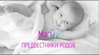 Предвестники родов. Как понять, что скоро роды? Предвестники родов. Как понять, что скоро роды?