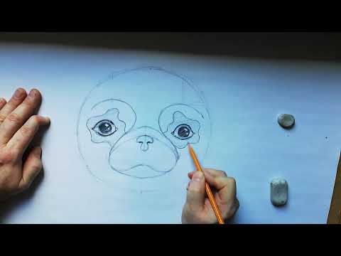 Wideo: Jak Narysować Mopsa