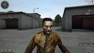 Gmod; DayZ CSI; New York
