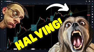 Obejrzyj to przed ulicą! Paraboliczne wzrosty przed halvingiem!?