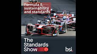 Formula E, sustainability and standards