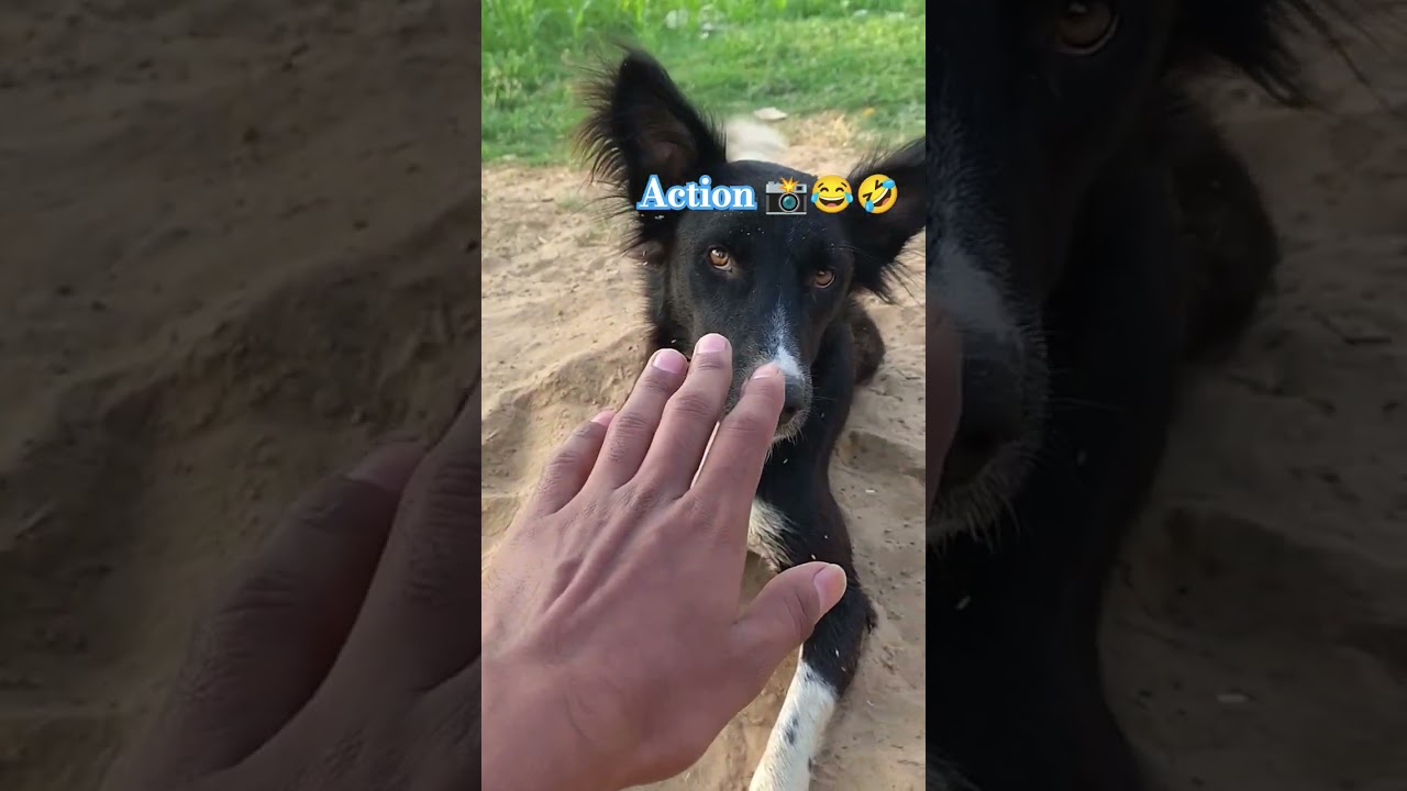 shuting Time sheru ka reaction 👌😜🤣😂 