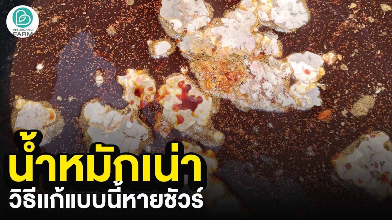 น้ำหมักเน่าเสียแก้ยังไง #ไร่อารีย์